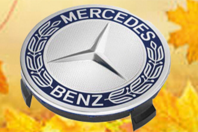 Mercedes-Benz Radnabenabdeckung silber mit Lorbeerkranz